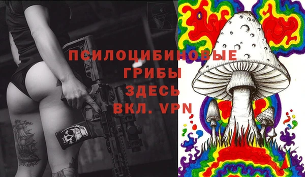 первитин Арсеньев